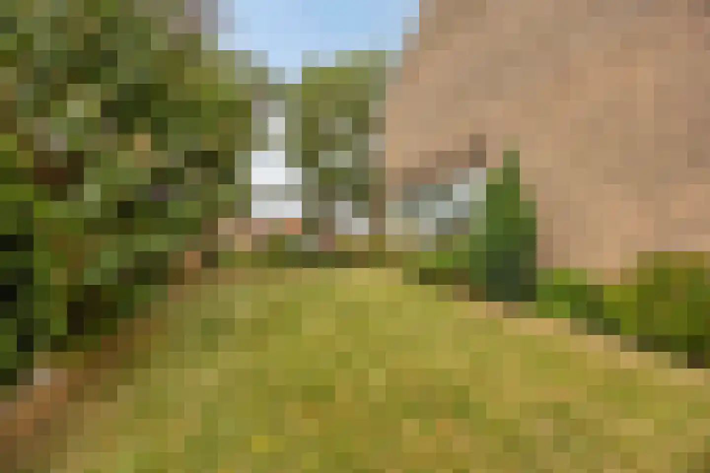 Oudelandsedijk 83 Sommelsdijk thumbnail 25