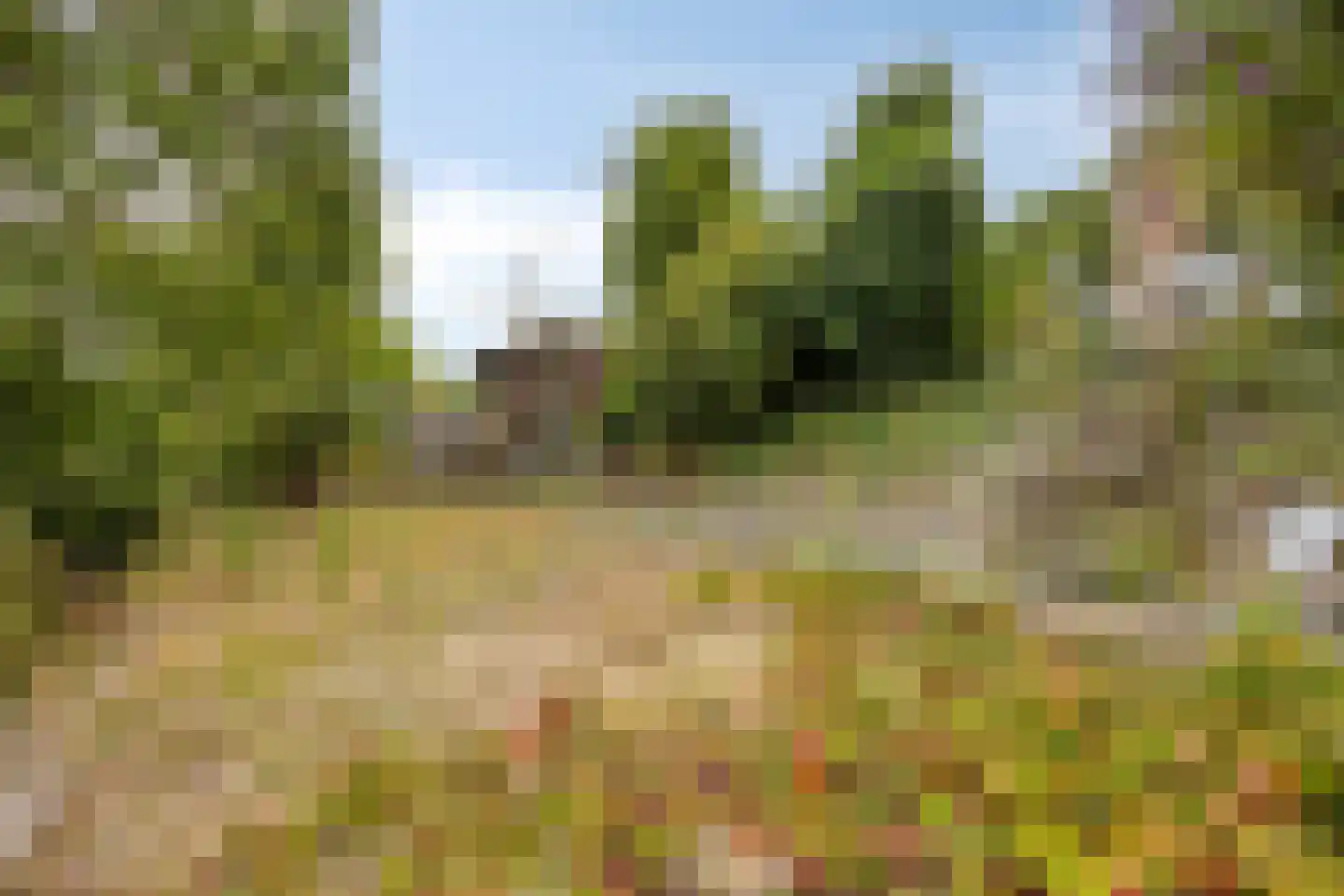 Oudelandsedijk 83 Sommelsdijk thumbnail 27