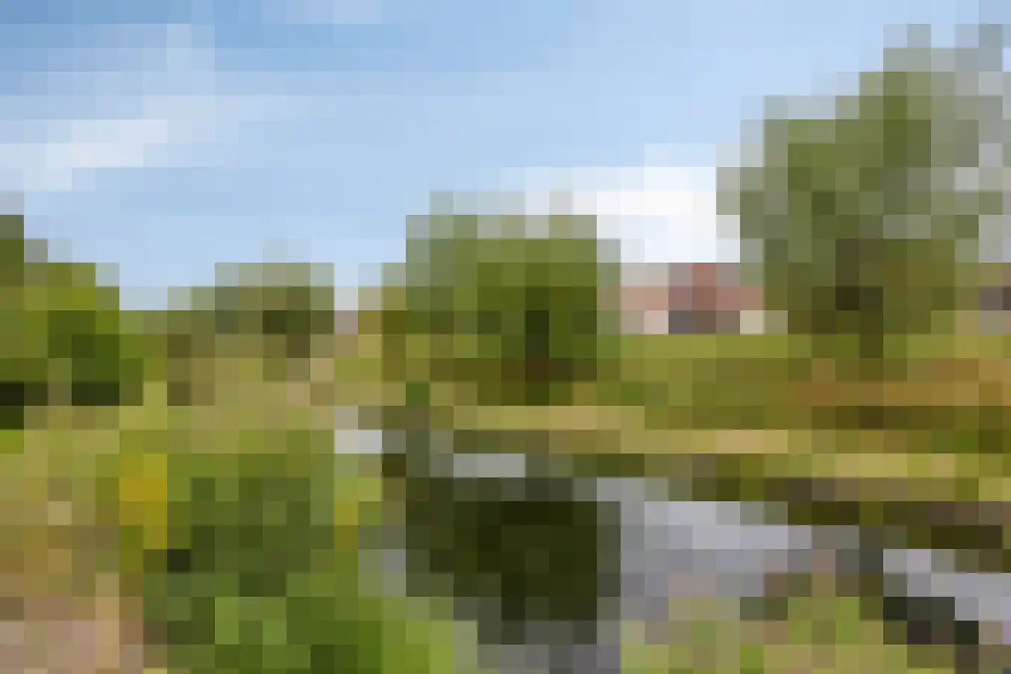 Oudelandsedijk 83 Sommelsdijk thumbnail 29