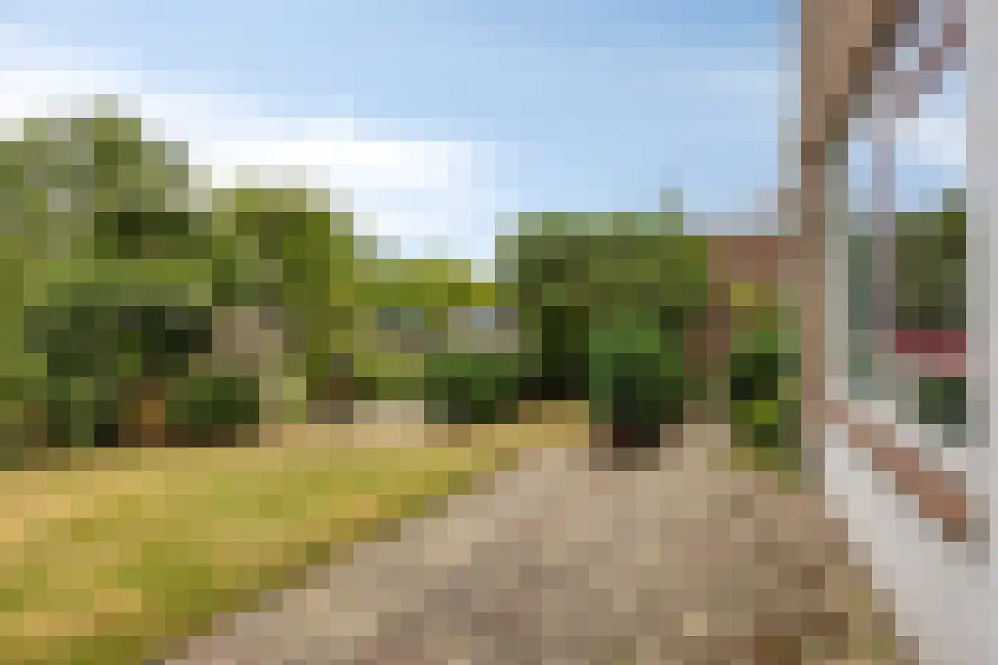 Oudelandsedijk 83 Sommelsdijk thumbnail 4