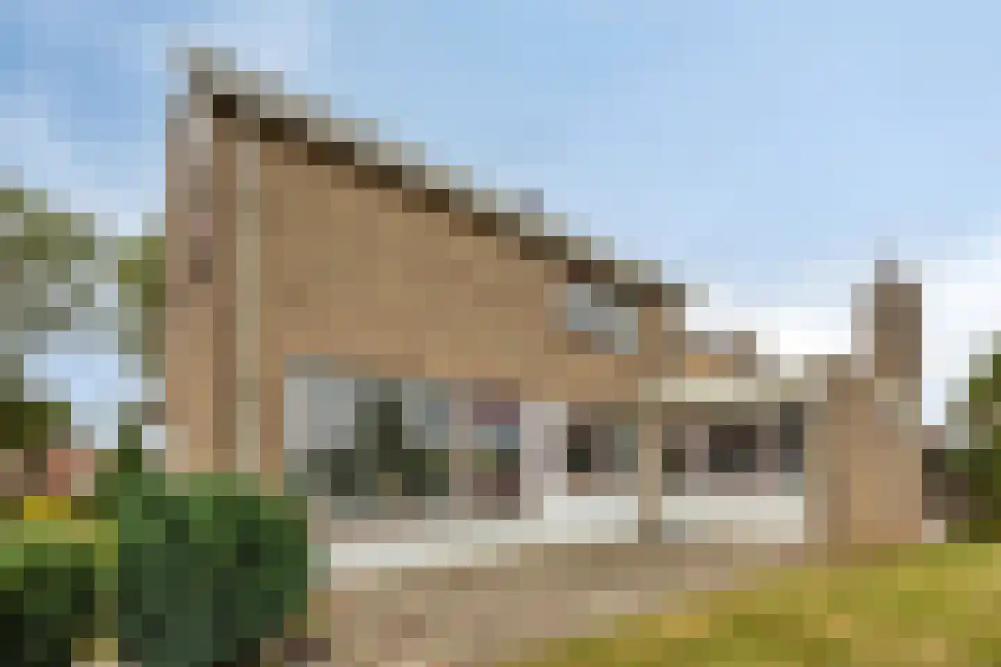 Oudelandsedijk 83 Sommelsdijk thumbnail 5