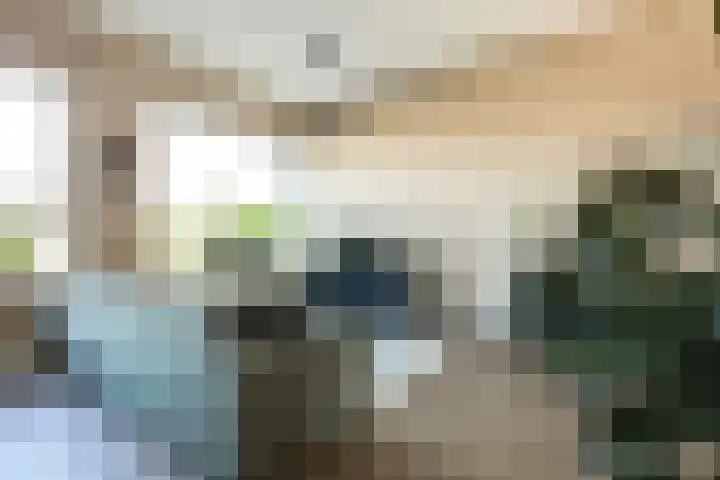 Oudelandselaan 129 Berkel en Rodenrijs thumbnail 11