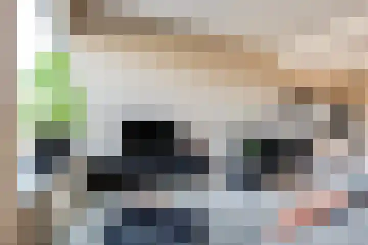 Oudelandselaan 129 Berkel en Rodenrijs thumbnail 12