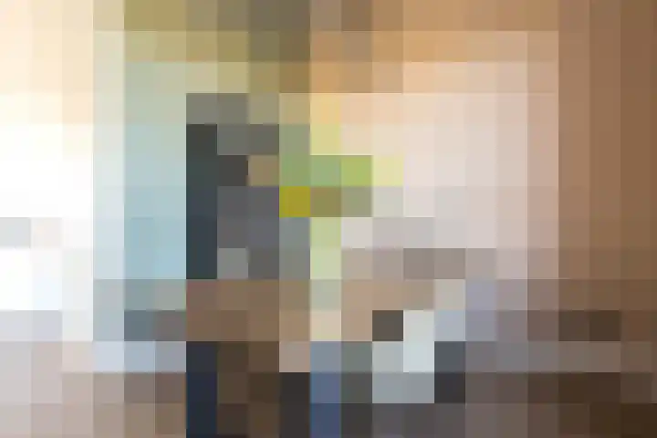 Oudelandselaan 129 Berkel en Rodenrijs thumbnail 14