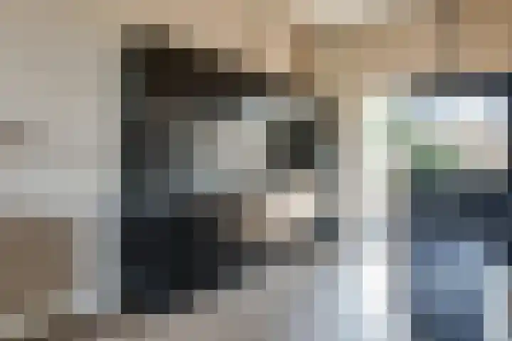 Oudelandselaan 129 Berkel en Rodenrijs thumbnail 17