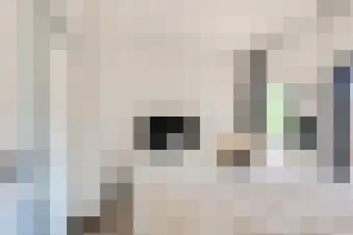 Oudelandselaan 129 Berkel en Rodenrijs thumbnail 22