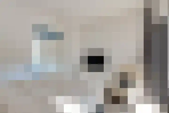 Oudelandselaan 129 Berkel en Rodenrijs thumbnail 23