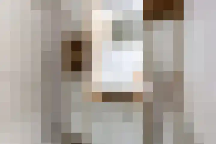 Oudelandselaan 129 Berkel en Rodenrijs thumbnail 29