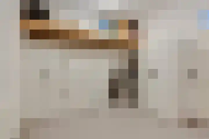 Oudelandselaan 129 Berkel en Rodenrijs thumbnail 32