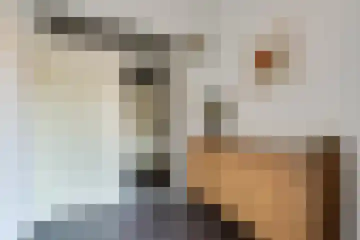 Oudelandselaan 129 Berkel en Rodenrijs thumbnail 5