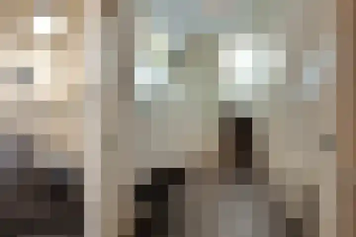 Oudelandselaan 129 Berkel en Rodenrijs thumbnail 6