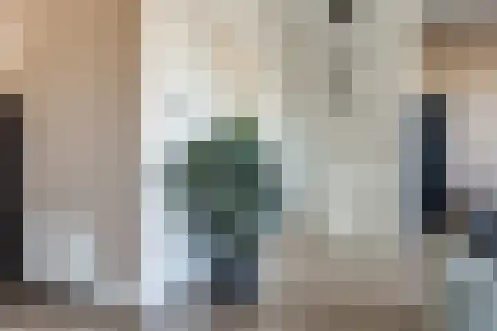 Oudelandselaan 129 Berkel en Rodenrijs thumbnail 7