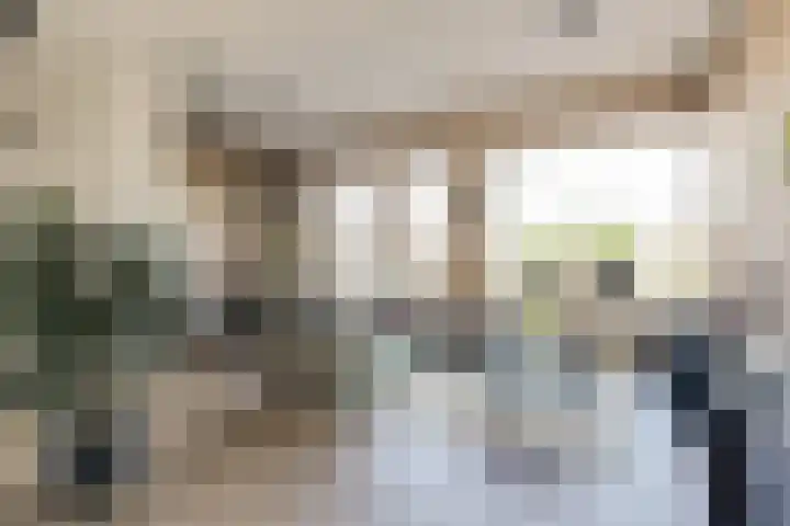 Oudelandselaan 129 Berkel en Rodenrijs thumbnail 8