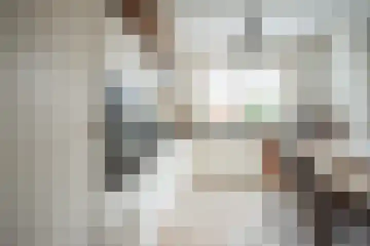 Oudelandselaan 259 Berkel en Rodenrijs thumbnail 16