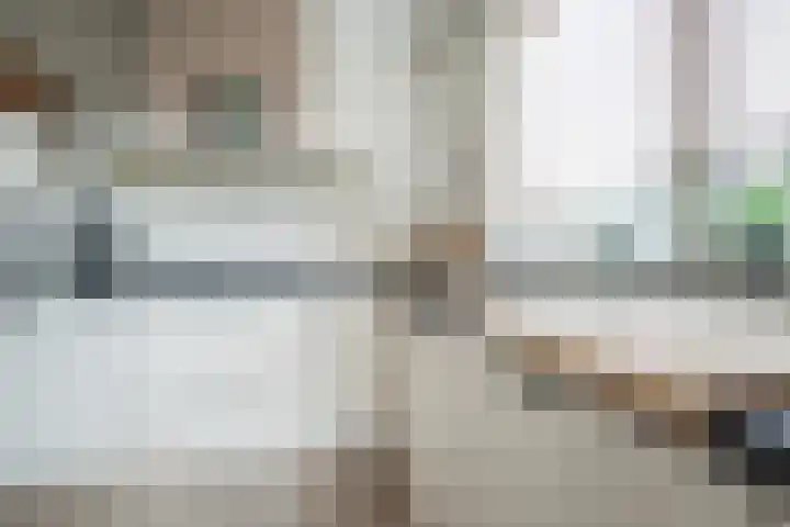 Oudelandselaan 259 Berkel en Rodenrijs thumbnail 18