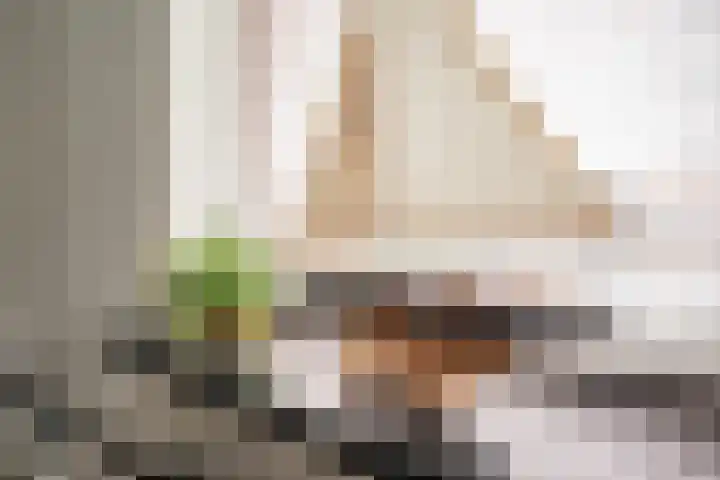 Oudelandselaan 259 Berkel en Rodenrijs thumbnail 24