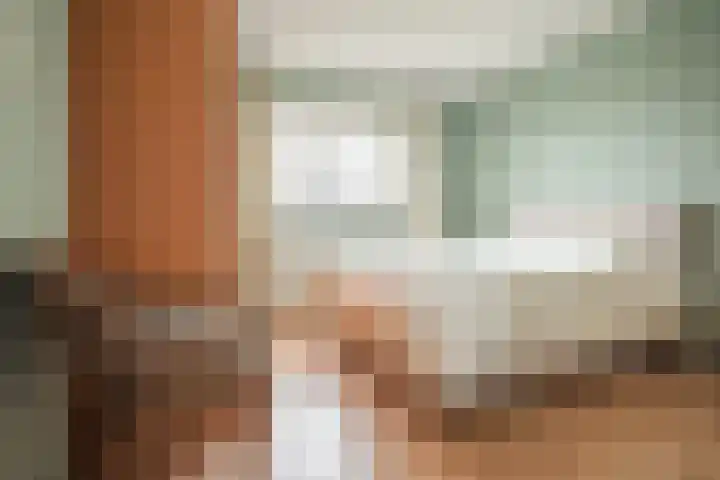 Oudelandselaan 259 Berkel en Rodenrijs thumbnail 36