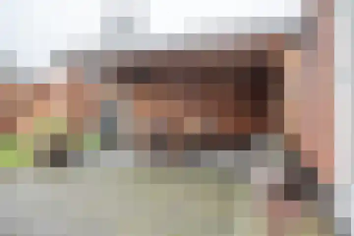 Oudelandselaan 259 Berkel en Rodenrijs thumbnail 4