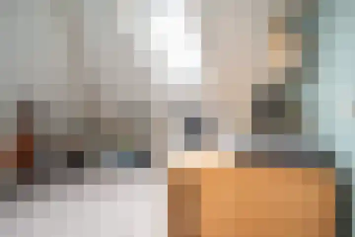 Oudelandselaan 259 Berkel en Rodenrijs thumbnail 41