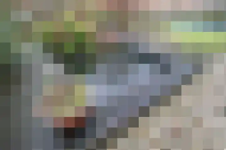 Oudelandselaan 259 Berkel en Rodenrijs thumbnail 45