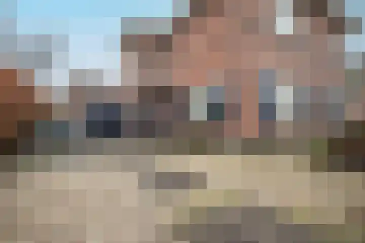 Oudelandselaan 259 Berkel en Rodenrijs thumbnail 5
