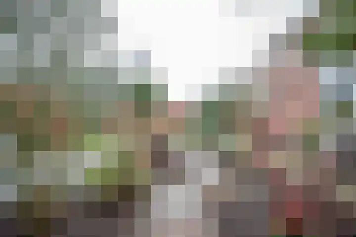 Oudelandselaan 259 Berkel en Rodenrijs thumbnail 51