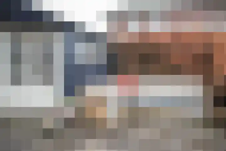 Oudelandselaan 259 Berkel en Rodenrijs thumbnail 52