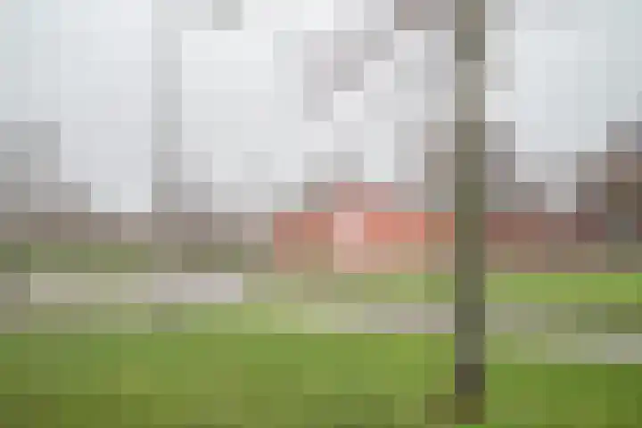 Oudelandselaan 259 Berkel en Rodenrijs thumbnail 56