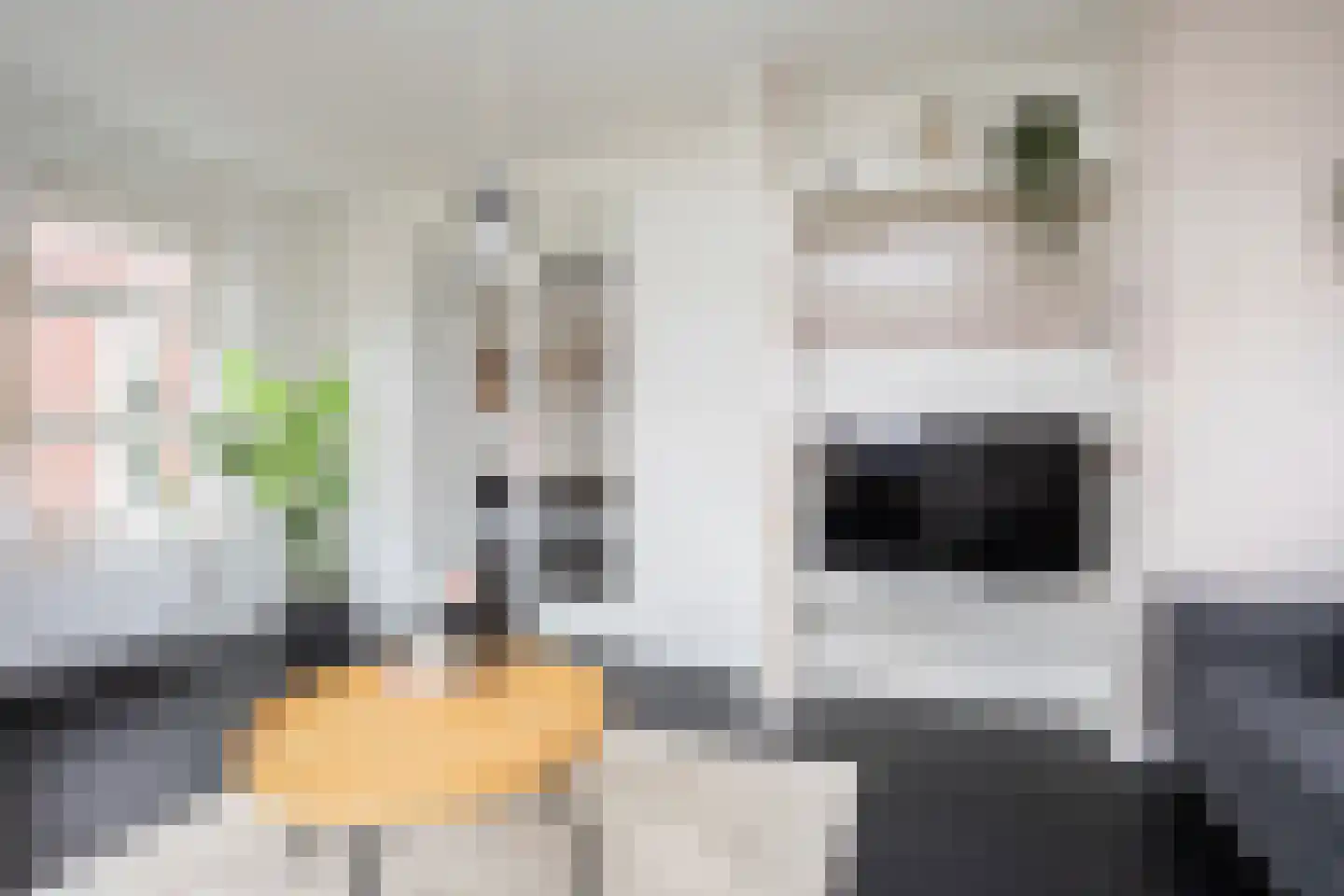 Oudelandselaan 269 Berkel en Rodenrijs thumbnail 23