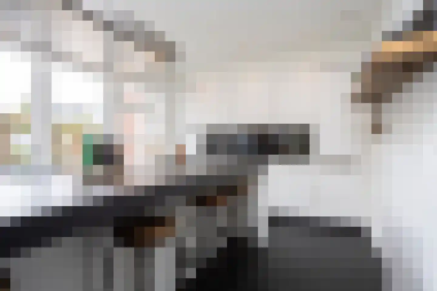 Oudelandselaan 269 Berkel en Rodenrijs thumbnail 28