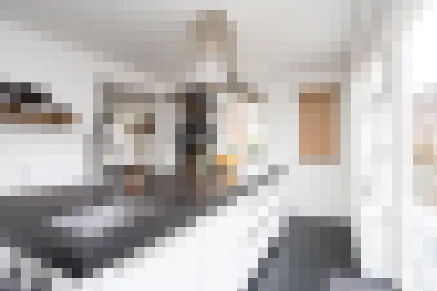 Oudelandselaan 269 Berkel en Rodenrijs thumbnail 29