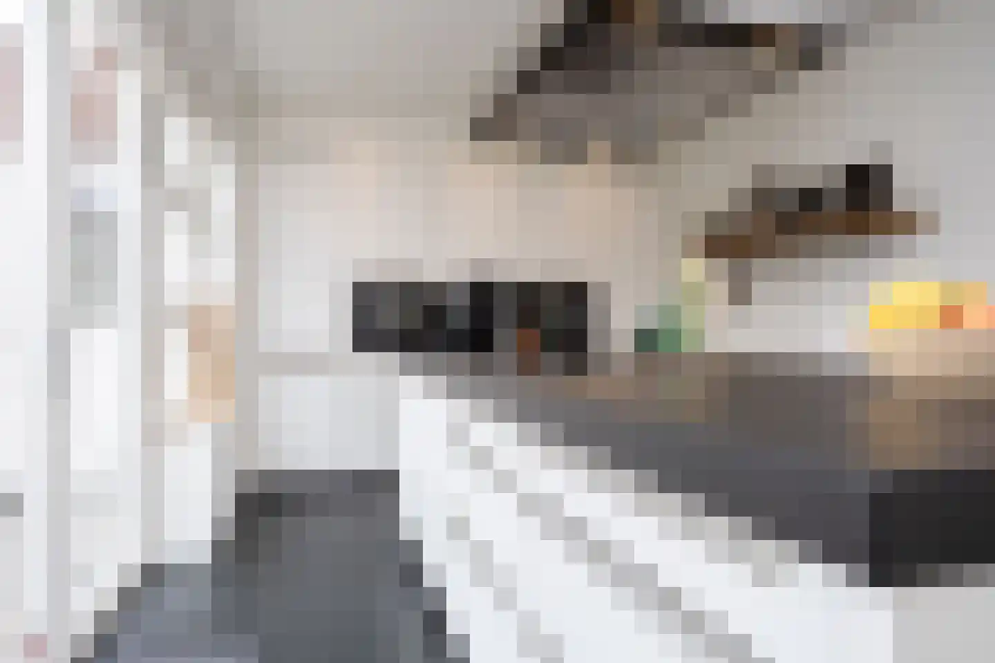 Oudelandselaan 269 Berkel en Rodenrijs thumbnail 30