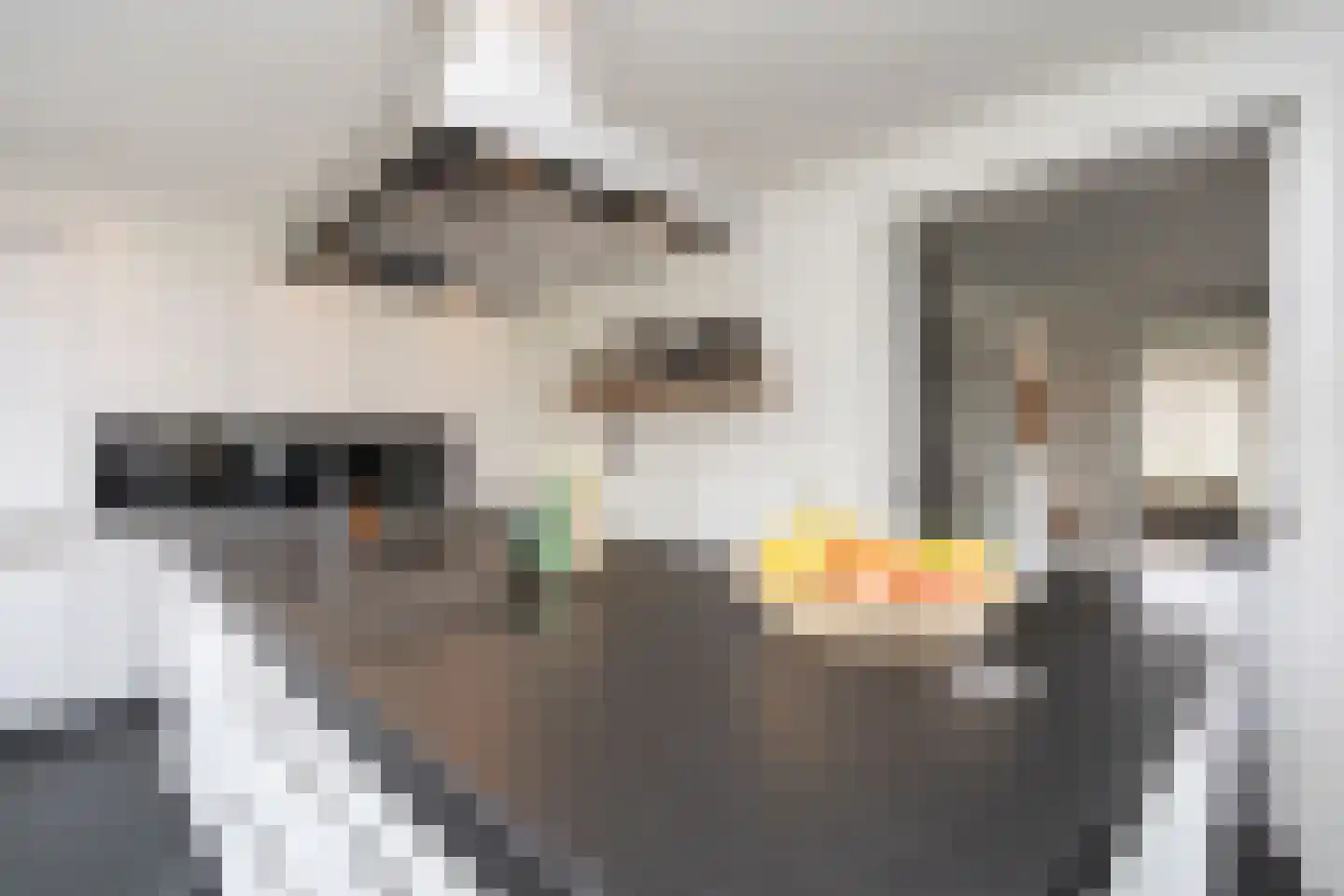 Oudelandselaan 269 Berkel en Rodenrijs thumbnail 31