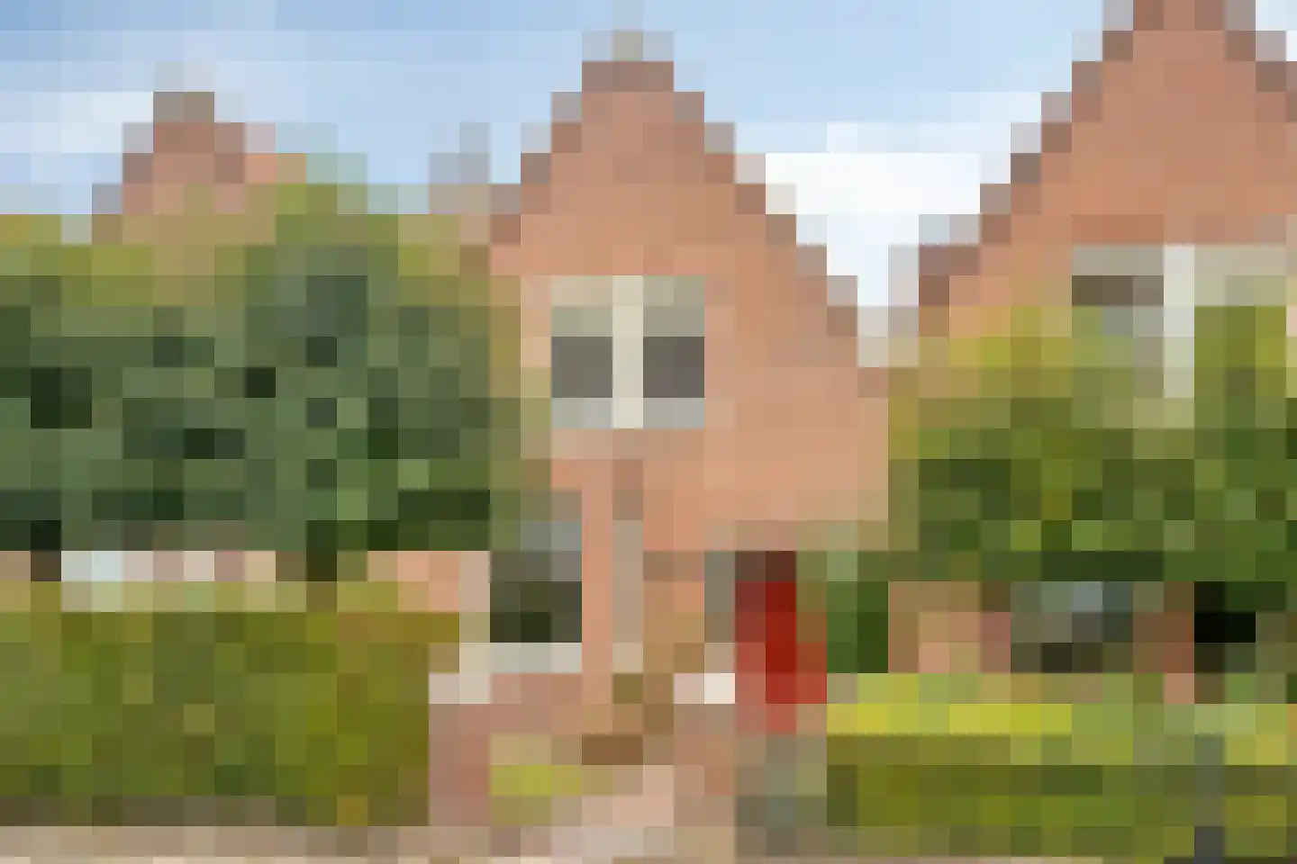 Oudelandsepoort 16 in Tholen
