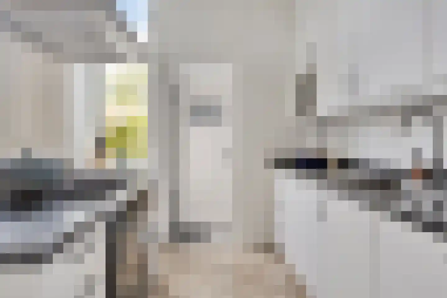 Oudelandsepoort 16 Tholen thumbnail 13