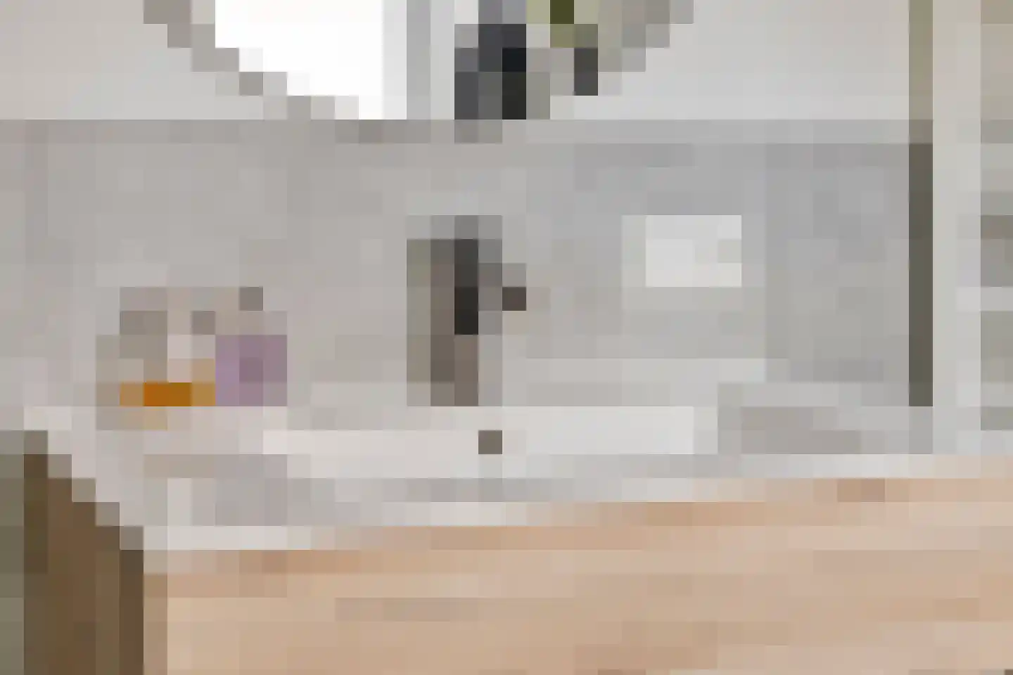 Oudelandsepoort 16 Tholen thumbnail 20