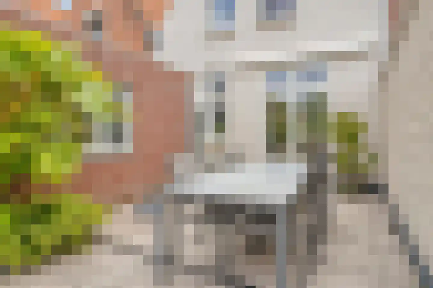 Oudelandsepoort 16 Tholen thumbnail 23