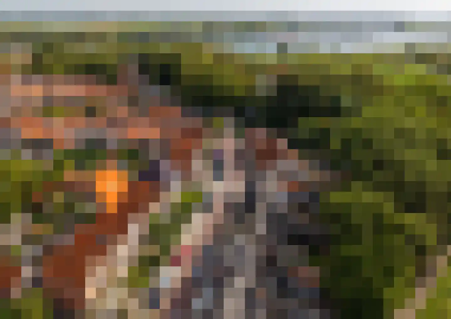 Oudelandsepoort 16 Tholen thumbnail 4
