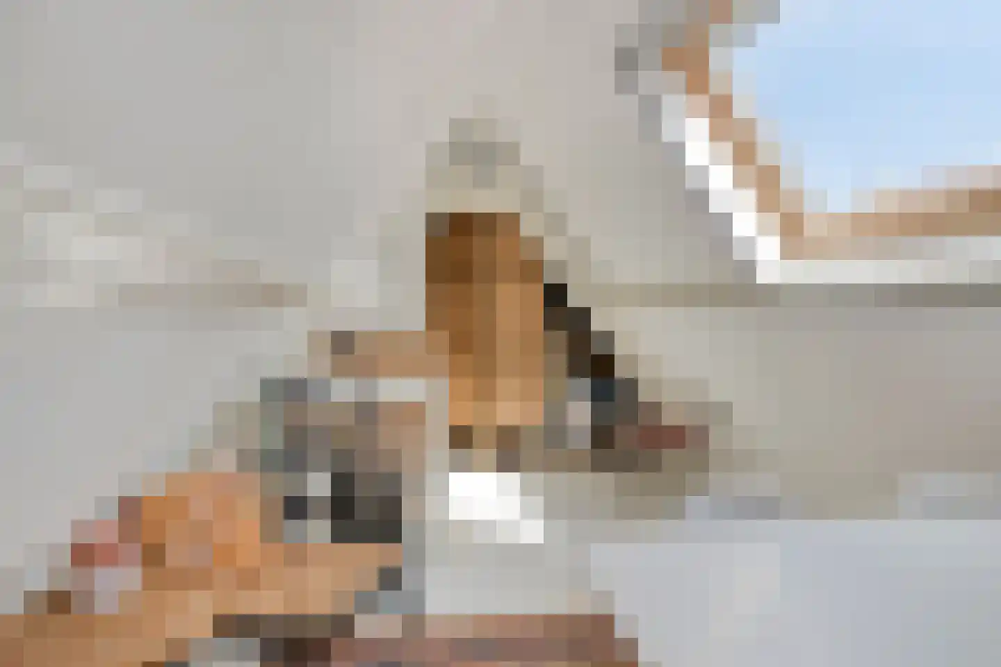 Oudelandsepoort 16 Tholen thumbnail 45