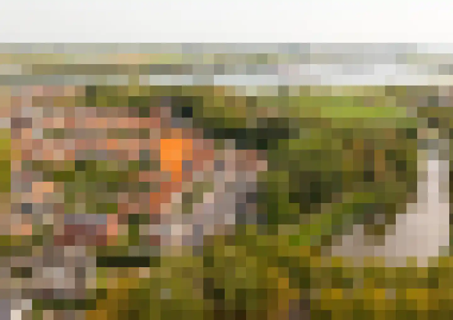 Oudelandsepoort 16 Tholen thumbnail 50