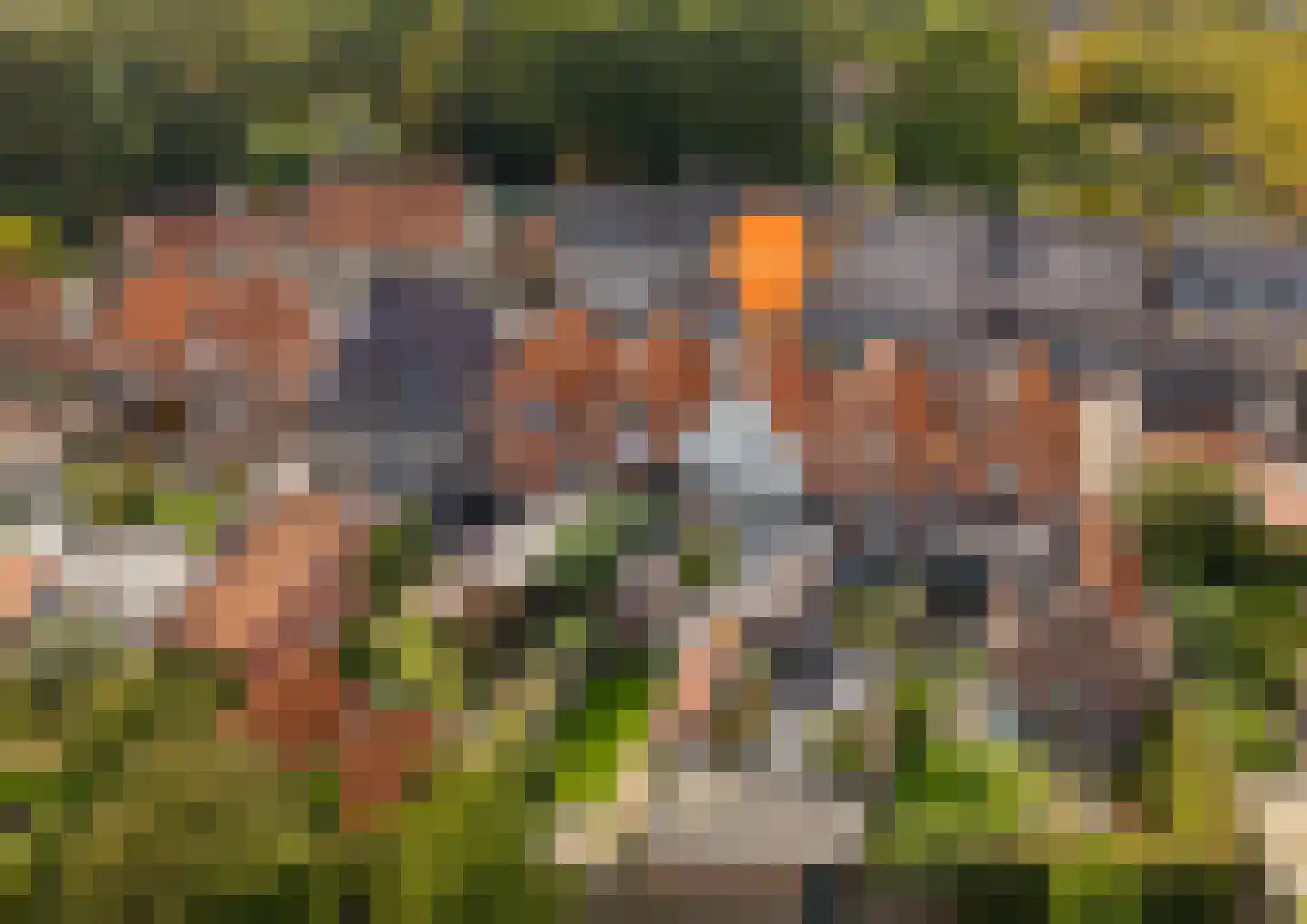 Oudelandsepoort 16 Tholen thumbnail 53