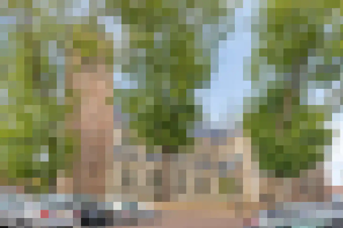 Oudelandsepoort 16 Tholen thumbnail 56