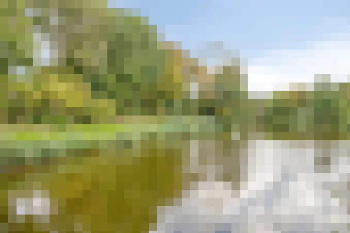 Oudelandsepoort 16 Tholen thumbnail 58