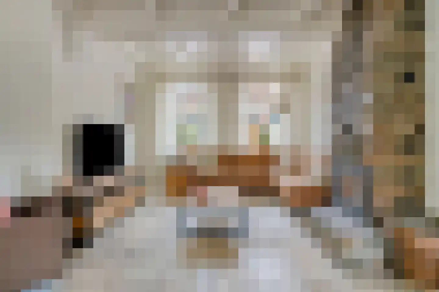 Oudelandsestraat 35 Tholen thumbnail 10