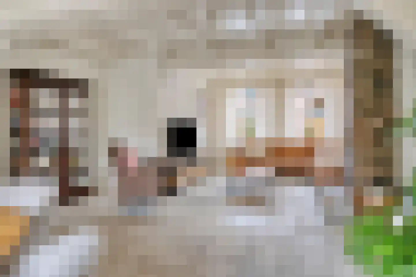 Oudelandsestraat 35 Tholen thumbnail 11