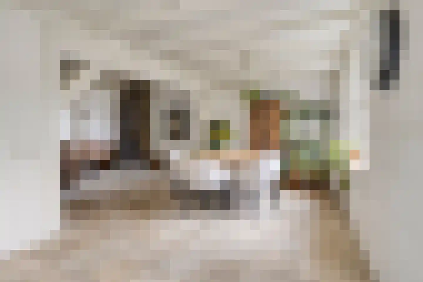 Oudelandsestraat 35 Tholen thumbnail 16