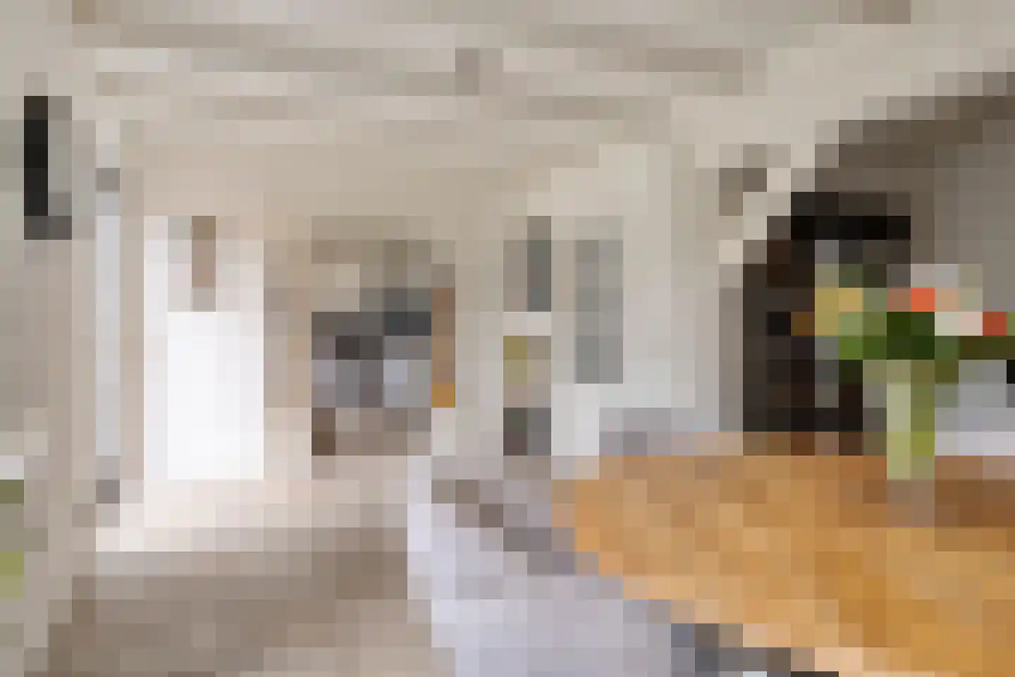 Oudelandsestraat 35 Tholen thumbnail 17