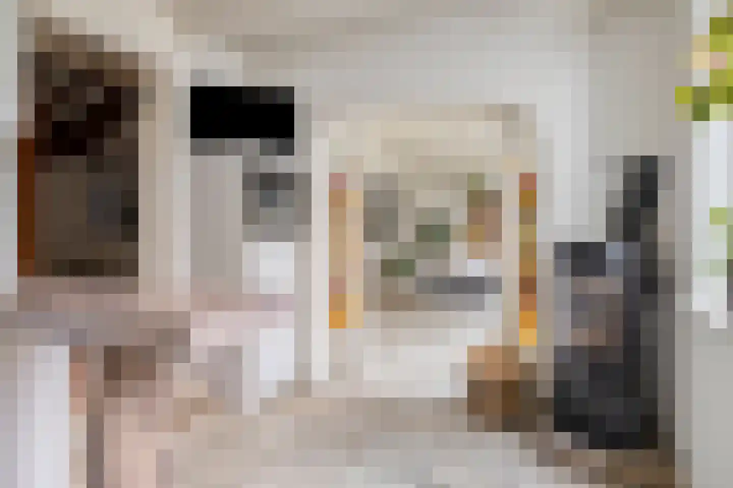 Oudelandsestraat 35 Tholen thumbnail 24
