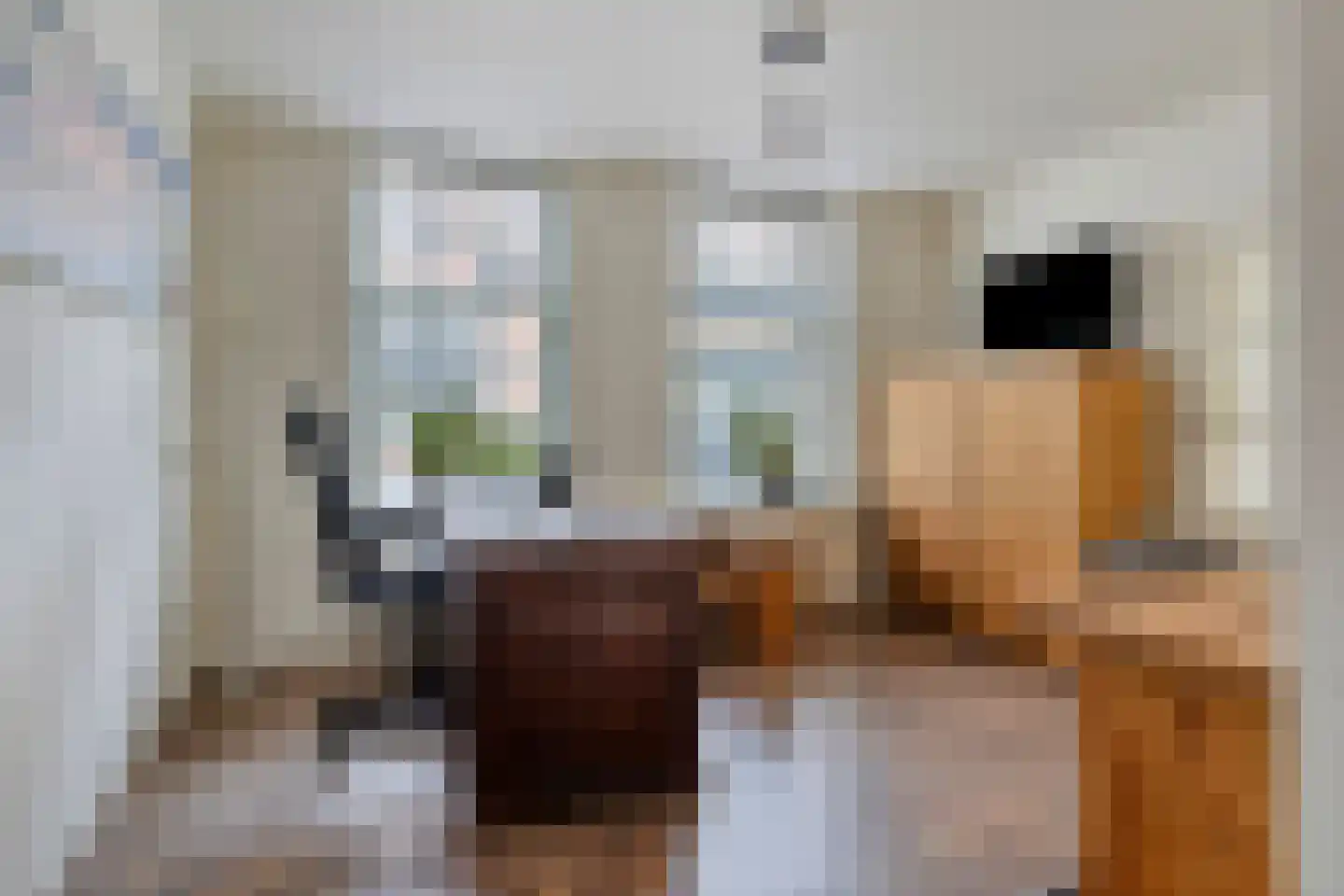 Oudelandsestraat 35 Tholen thumbnail 27