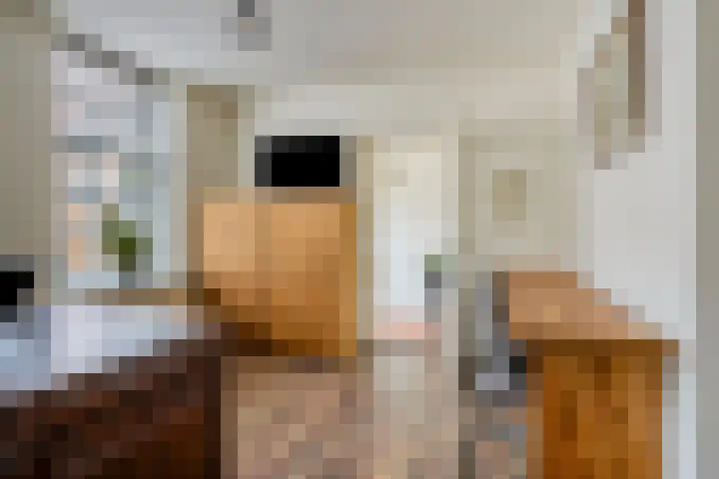 Oudelandsestraat 35 Tholen thumbnail 28